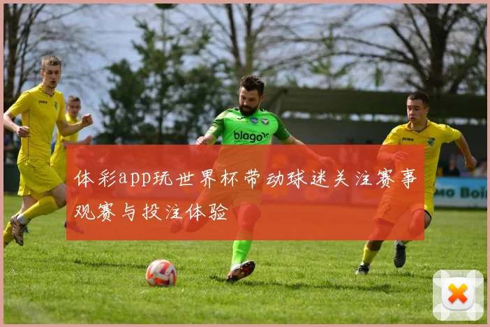 体彩app玩世界杯带动球迷关注赛事观赛与投注体验