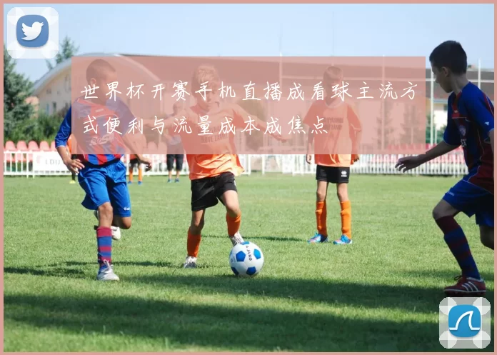 世界杯开赛手机直播成看球主流方式便利与流量成本成焦点